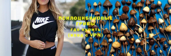 дурь Абдулино