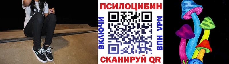 где купить Шилка Псилоцибиновые грибы Psilocybe